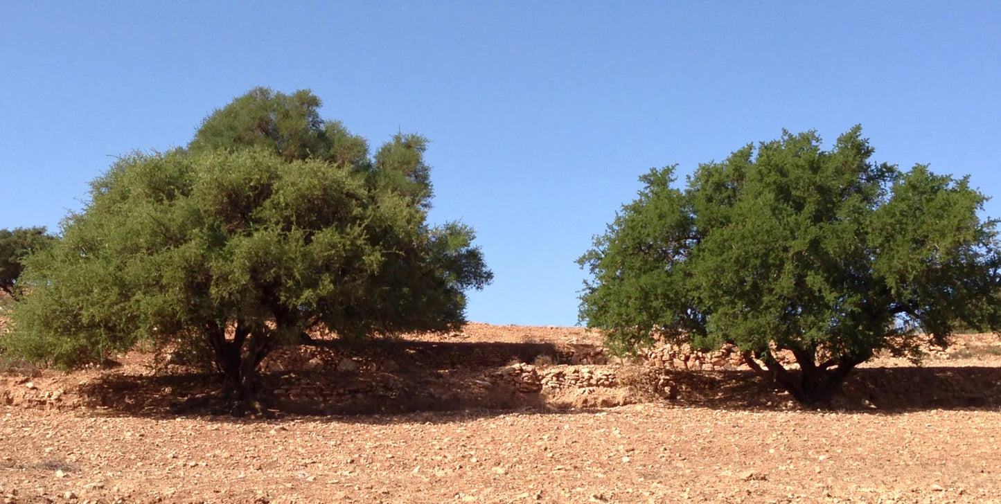 Crown Elixer™ | Pure Argan Oil