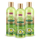 CrownElixer™ | 3 Pack Shampoo - Natural Tea Tree Oil and Avocado Oil