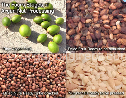 Crown Elixer™ | Pure Argan Oil