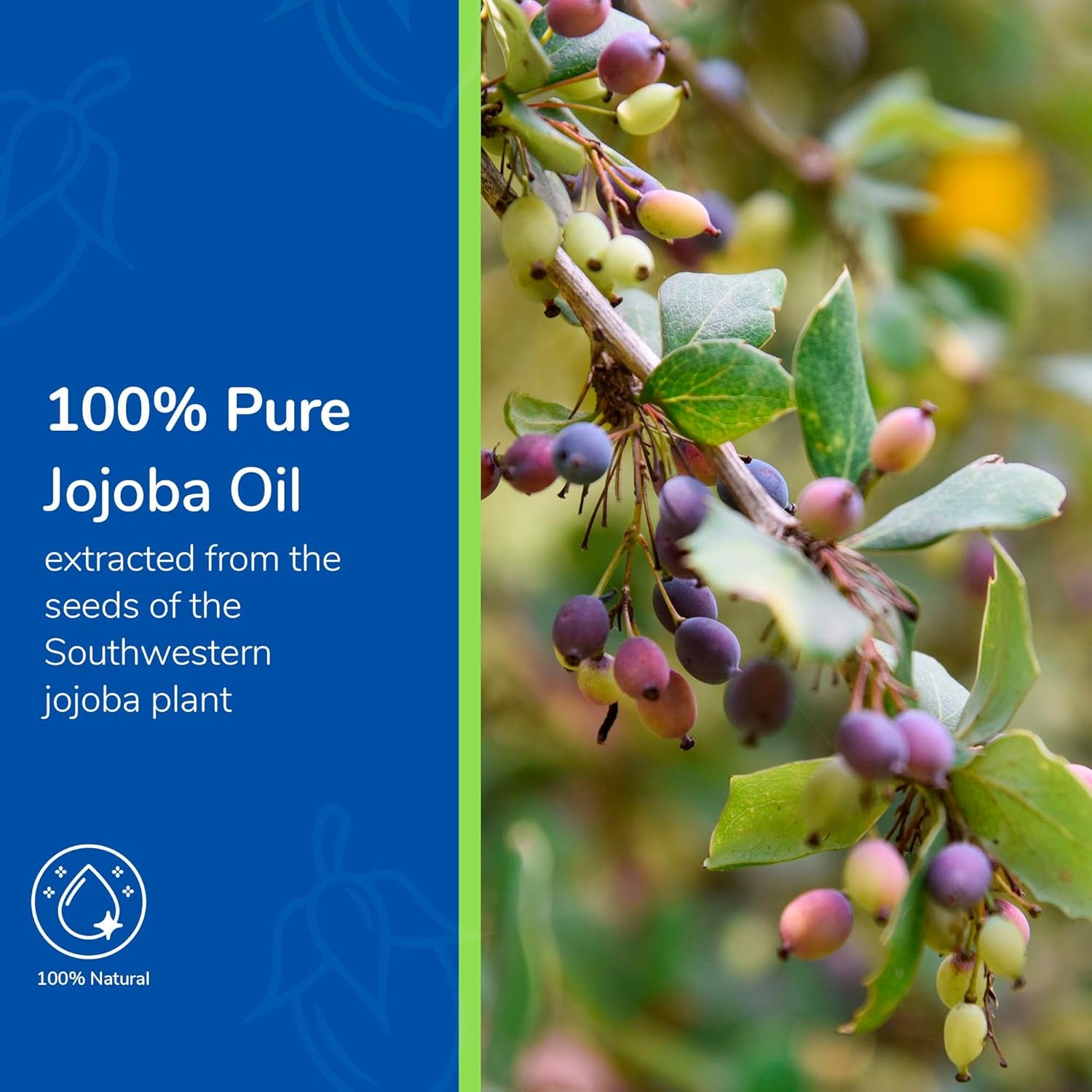 CrownElixer™ | Jojoba Oil