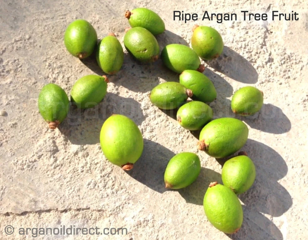 Crown Elixer™ | Pure Argan Oil